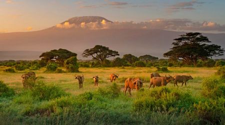 Monte Kilimanjaro