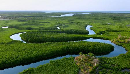 Senegal: Delta del Saloum 