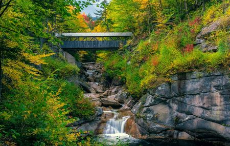 Sentinel Pine Bridge