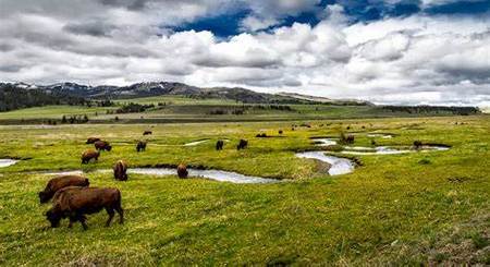 Grasslands National Park