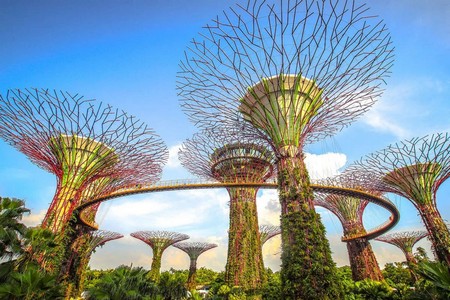 Gardens by the Bay