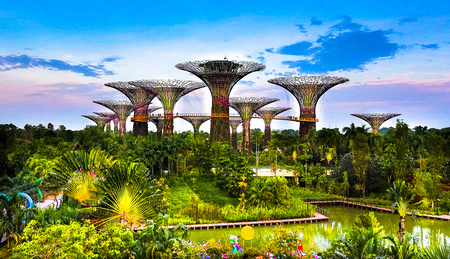 Gardens by the Bay