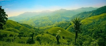 Provincia de Alajuela