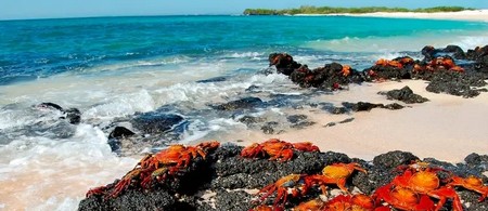 Isla de Santa Cruz