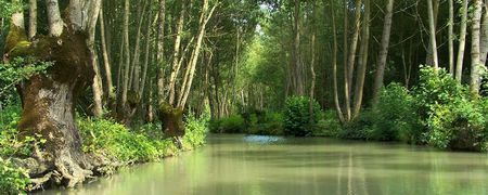 Marais Poitevin - Marismas