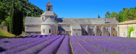 Abadia de Senanque - Paisaje Provenzal