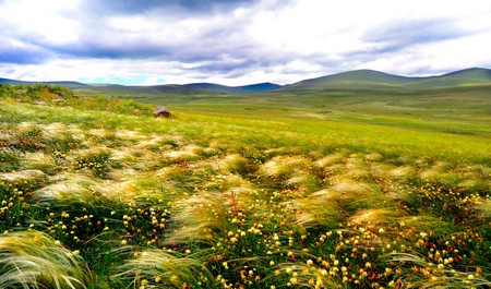 Parque Nacional del Lago Arpi