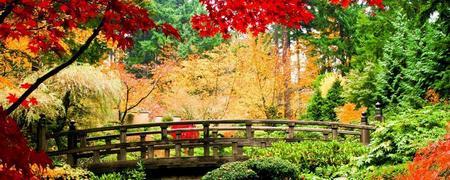 Jardin Japones