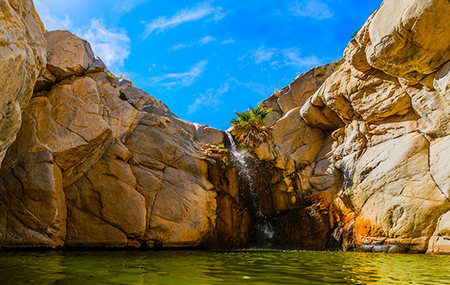 Guadalupe Canyon Hot Springs