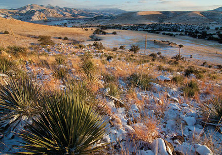 Reserva de la Biosfera Janos