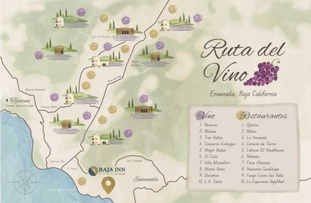 Ruta del Vino - Baja California