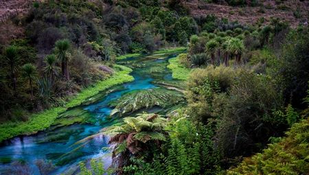 Blue Spring