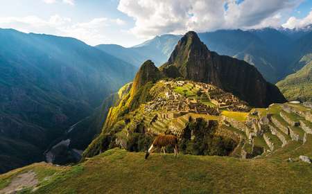 Machu Picchu