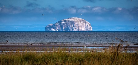 Bass Rock