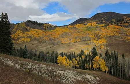 Bosque Nacional Arapaho