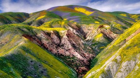 Monumento Nacional Carrizo Plain