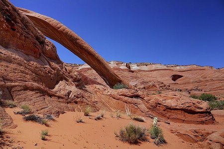 Cobra Arch