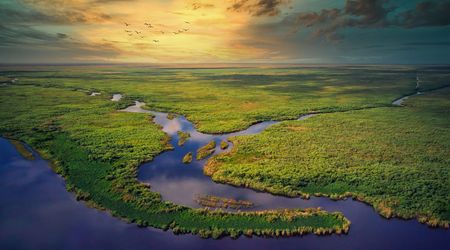 Parque Nacional de los Everglades - Florida