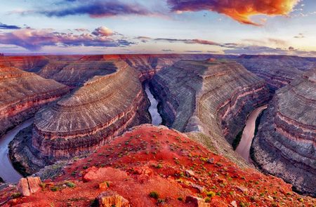 Gooseneck - San Juan River