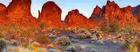 Refugio Nacional de Vida Silvestre de Kofa