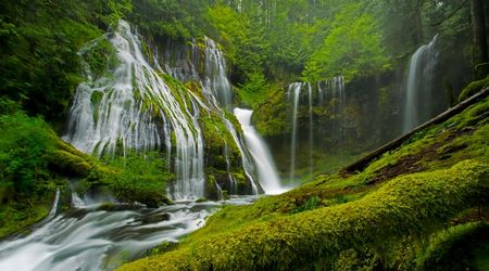 Panther Creek Falls