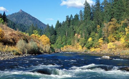 Rogue River–Siskiyou National Forest