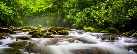 Smoky Mountains