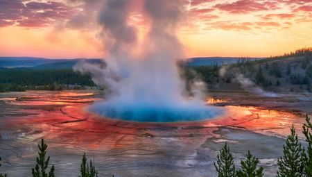 Yellowstone N.P.